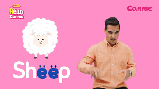 儿童自然拼读动画视频《Hello Carrie》Alphabet A-Z Song+组合音节共50集