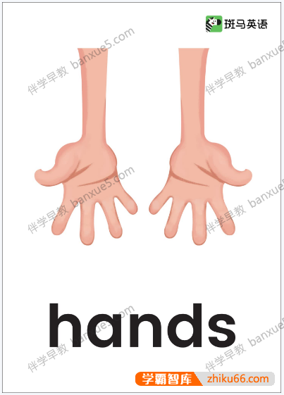 儿童英语单词闪卡《斑马英语启蒙单词卡》共300张彩页PDF