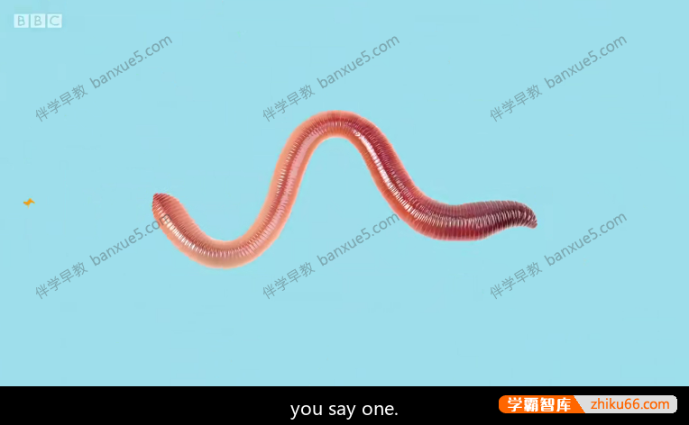 儿童英语启蒙动画片《Yakka Dee》第一季全20集-低幼英语开口启蒙神器