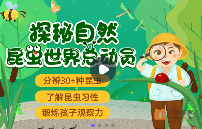 【小灯塔学堂】探秘自然：昆虫世界总动员(法布尔昆虫记的精彩呈现)