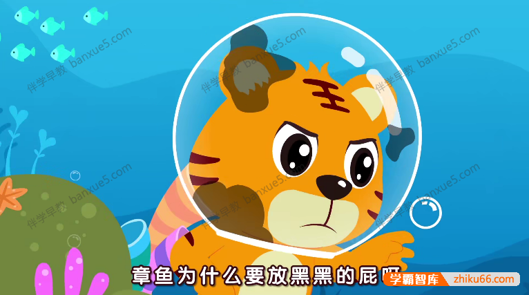 早教益智动画片《贝乐虎大百科》全52集