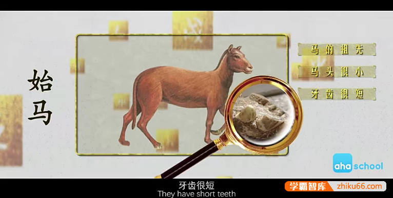 儿童历史文化启蒙动画片《十二生肖简史》全12集