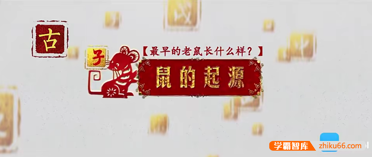 儿童历史文化启蒙动画片《十二生肖简史》全12集