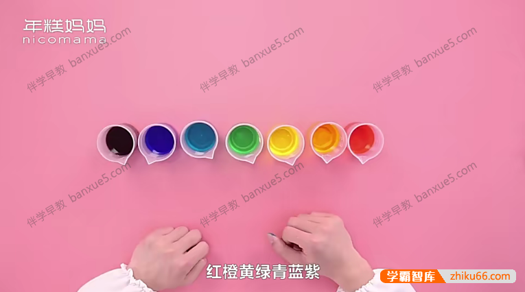 年糕妈妈《孩子的第一堂科学启蒙课》视频课程全40集