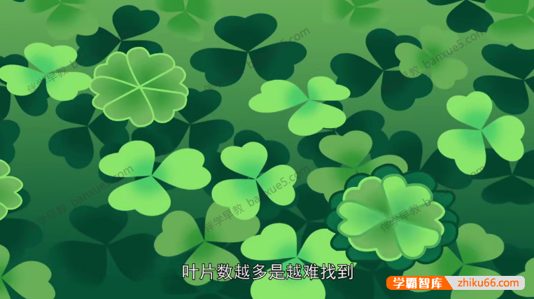 儿童科普动画片《阿普喵植物科普》全26集