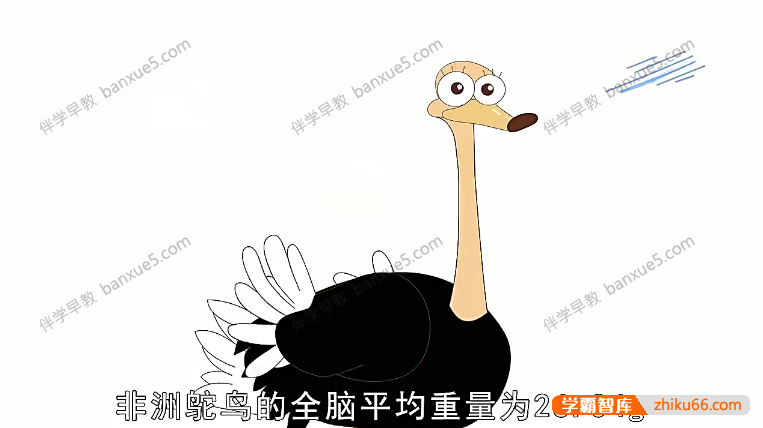 儿童动物知识科普动画片《动物冷知识》全26集