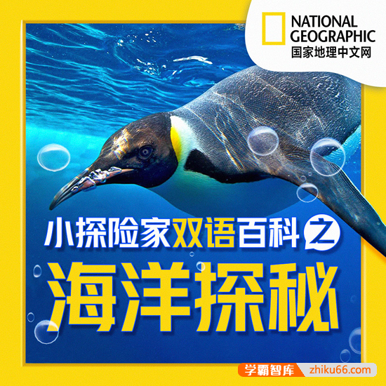 《小探险家双语百科之探秘海底乐园》了解百科知识,感受英语氛围