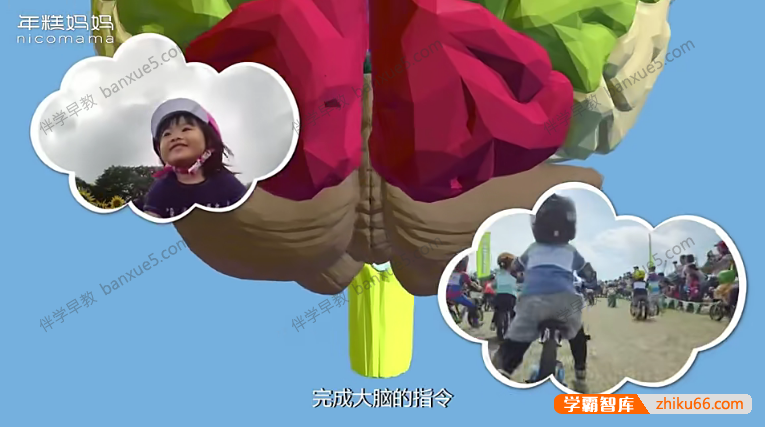 儿童早教课程《身体的秘密：给宝宝的第一堂人体认知课》全15集