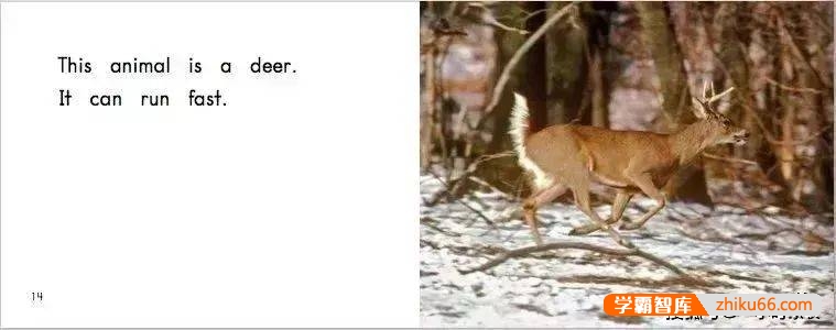 经典英语分级读物之《海尼曼Heinemann》系列PDF绘本+音频教学+视频教学全套资料