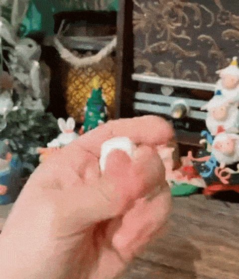 巧手姐姐《从零基础学黏土：五合一年课》黏土入门班,粘土进阶班,黏土创想班,黏土原创设计,运营分享