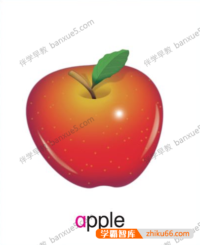 牛津树英语学习神器《牛津分级单词闪卡1305张(配套音频)》