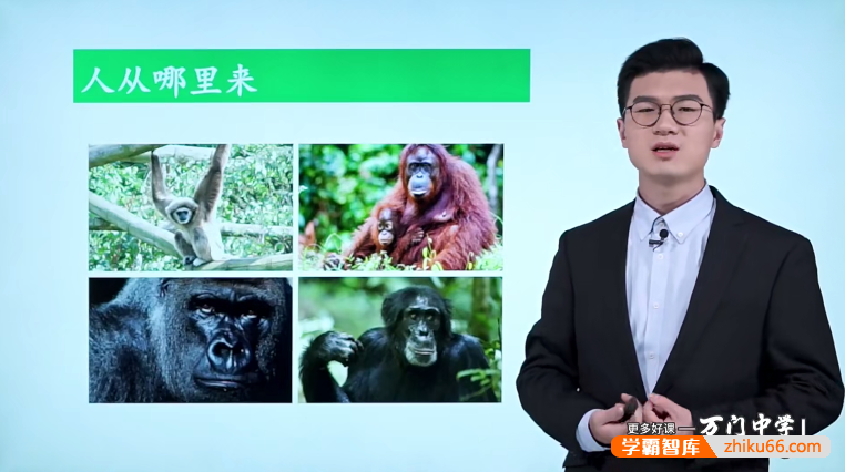 【万门中学】靳翔宇初一生物基础班(七年级下)