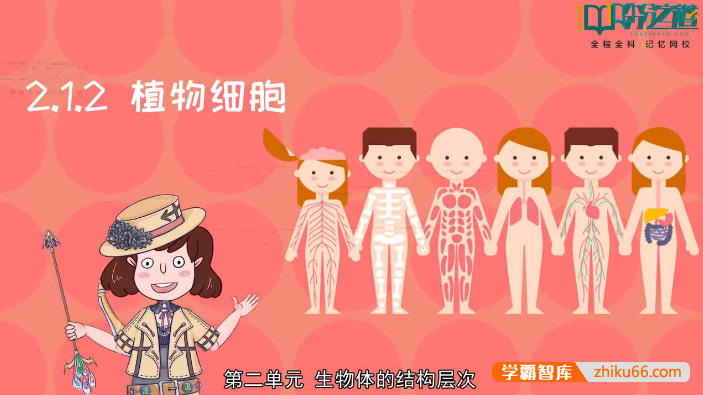 人教版初中生物同步动画课程(初中7-8年级全册)