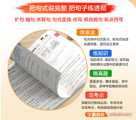 2024版53小学语文基础练-句式训练大全专项练习(1-6年级下册)