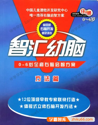 幼儿早教课程《智汇幼脑》理论篇+方法篇+早教音乐215首