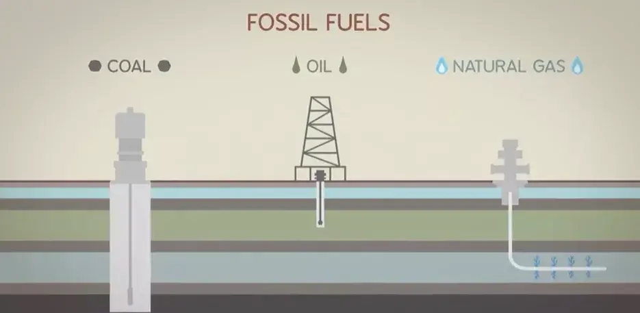 TED-ed系列科普动画《了不起的自然 Awesome Nature》