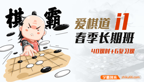 爱棋道《庄文老师围棋课：春季i1长期班》40课时+6复习课视频教程