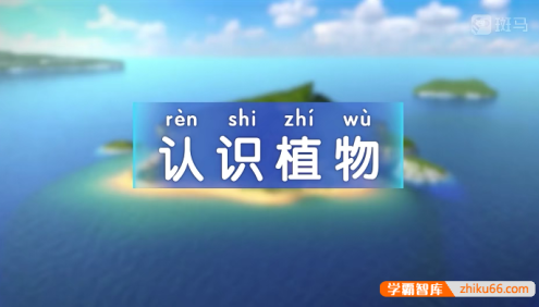 斑马百科“植物”主题动画视频课程,带领孩子感受生命力量
