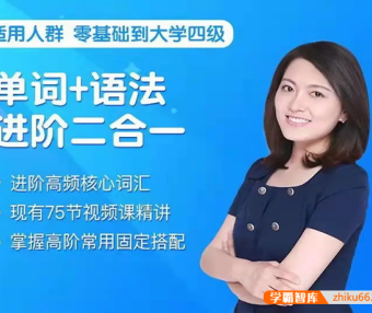 沙沙老师进阶英语高频核心词汇+语法进阶二合一视频课程
