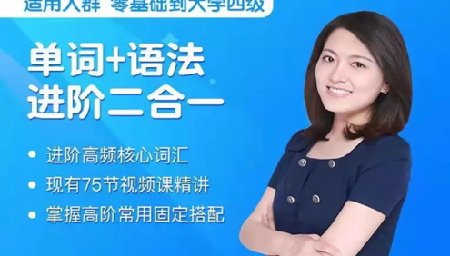 沙沙老师进阶英语高频核心词汇+语法进阶二合一视频课程