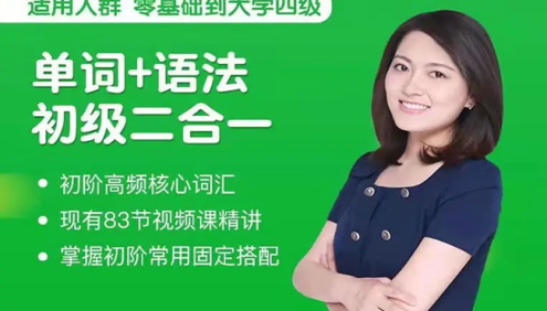 沙沙老师初阶英语高频核心词汇+语法初级二合一视频课程