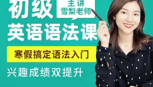 【雪梨英语】雪梨老师讲英语初级语法课(轻松学透英语语法,提升英语水平)