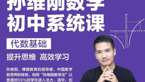 博雅初中数学系统课-孙维刚数学初中系统课第一期：代数基础