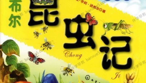 儿童自然百科读物《法布尔昆虫记》全32集MP3音频