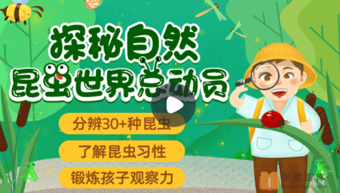 【小灯塔学堂】探秘自然：昆虫世界总动员(法布尔昆虫记的精彩呈现)