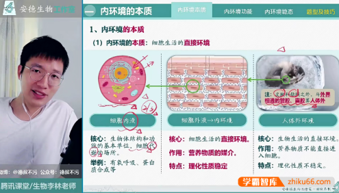 【李林生物】安德高二生物系统课-高二选择性必修1-2同步视频课程