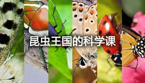 给孩子的自然启蒙《昆虫王国的科学课》