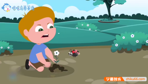《唱唱启蒙英语：小小昆虫课》昆虫英语启蒙儿歌,认识小昆虫动画片