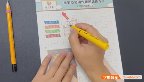 【抖音同款】萝卜正姿-萝卜练字五步练字法(控笔正姿・基础笔画字根・字体结构三合一)
