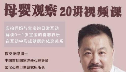 施琪嘉《母婴互动》20讲视频课,告别焦虑,轻松育儿