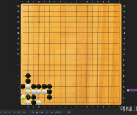 【爱棋道】雷雯老师围棋I-7集训班(一期+二期)