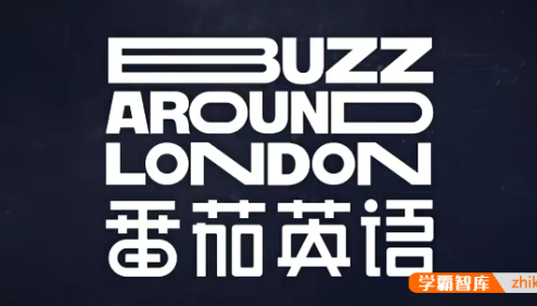 《番茄英语:暴走伦敦篇》看世界学英语口语