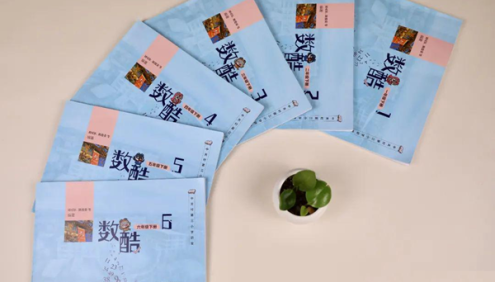 中关村三小重磅内部数学资料《数酷》练习本12册+答案12册(适合小学1-6年级)