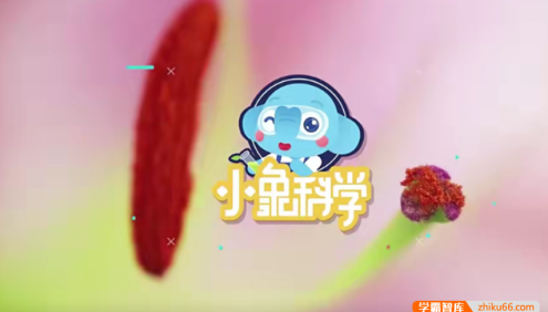【芝麻学社】ahashool小象科学课同步学六年级(下)