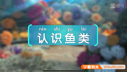 斑马百科“鱼类”主题动画视频课程,开启一场关于鱼类的奇妙科普之旅