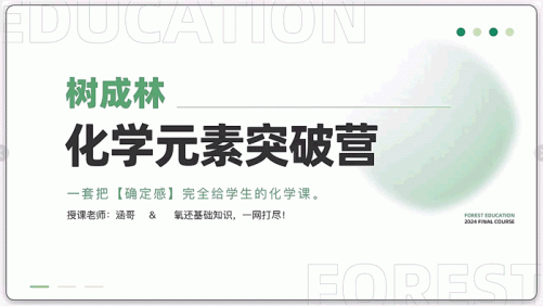 【树成林教育】2025届张子涵化学元素突破营,树成林化学提升训练营