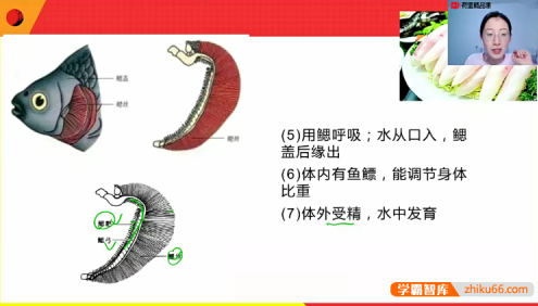 【孙佳佳生物】孙佳佳2021年初中生物五大模块全套(视频+讲义+笔记)