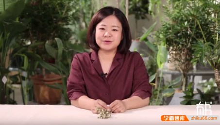 崔金香-经典插花课：教你用花点缀生活