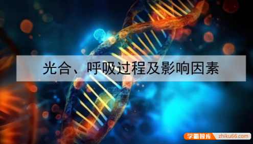 【金晶生物】2025届高三生物 金晶高考生物二轮复习技巧提升课