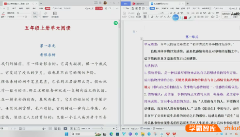 陈怡小学五年级语文阅读理解上下册同步课程