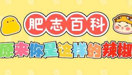 肥志百科【1-10季】[国语配音+中文字幕]