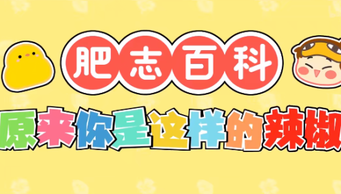 肥志百科【1-10季】[国语配音+中文字幕]