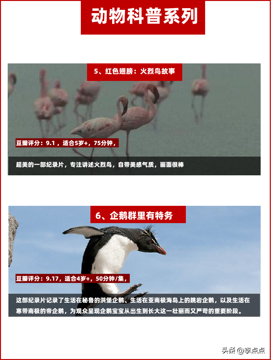 央视力荐的16个纪录片，每一部都值得带娃看N遍