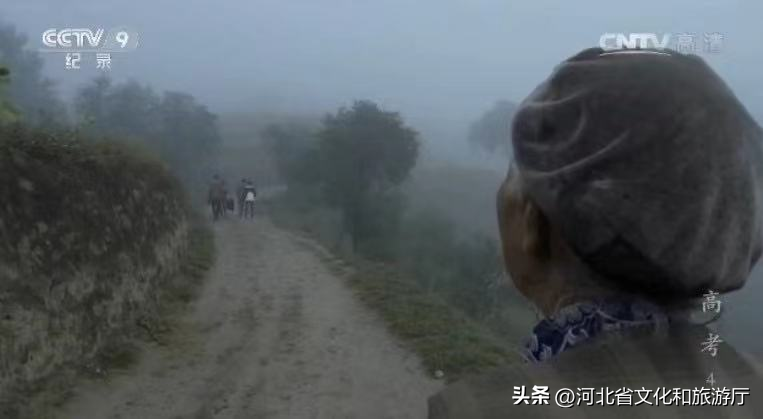 央视推荐6部神级纪录片，唤醒孩子的内驱力