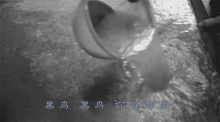 有没有高质量,有意义的纪录片推荐?