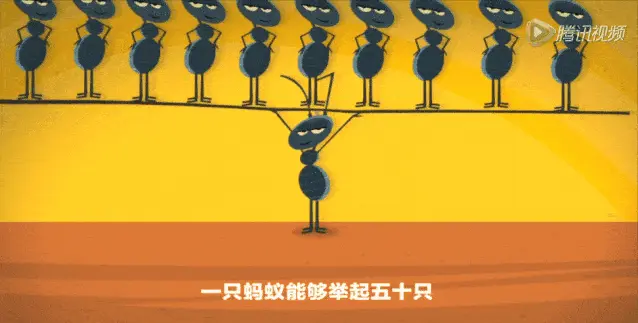 不看后悔的数理化动画片,寓教于乐,比补课强100倍